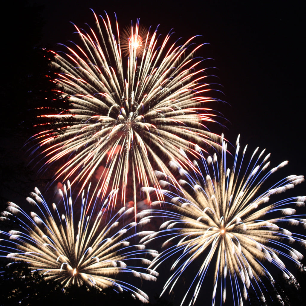 How To Keep Your Cats Safe During Fireworks